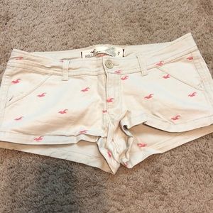 Hollister shorts